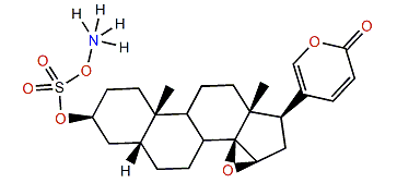 Resibufogenin 3-sulfate ammonium salt